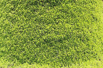 第三人称恐怖冒险游戏《恐怖之歌》现已追加官方中文