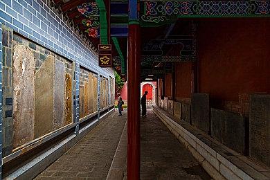 《守望先锋2》第九赛季2月13日上线 预告即将公布